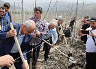 Первый в России суперинтенсивный сад на высоте более 1 тысячи метров над уровнем моря появился в Дагестане Первый в России суперинтенсивный сад на высоте более 1 тысячи метров над уровнем моря появился в Дагестане